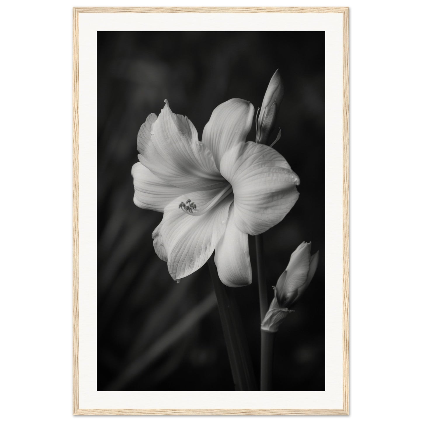 Affiche Fleur Noir et Blanc ( 60x90-cm-Bois-clair)