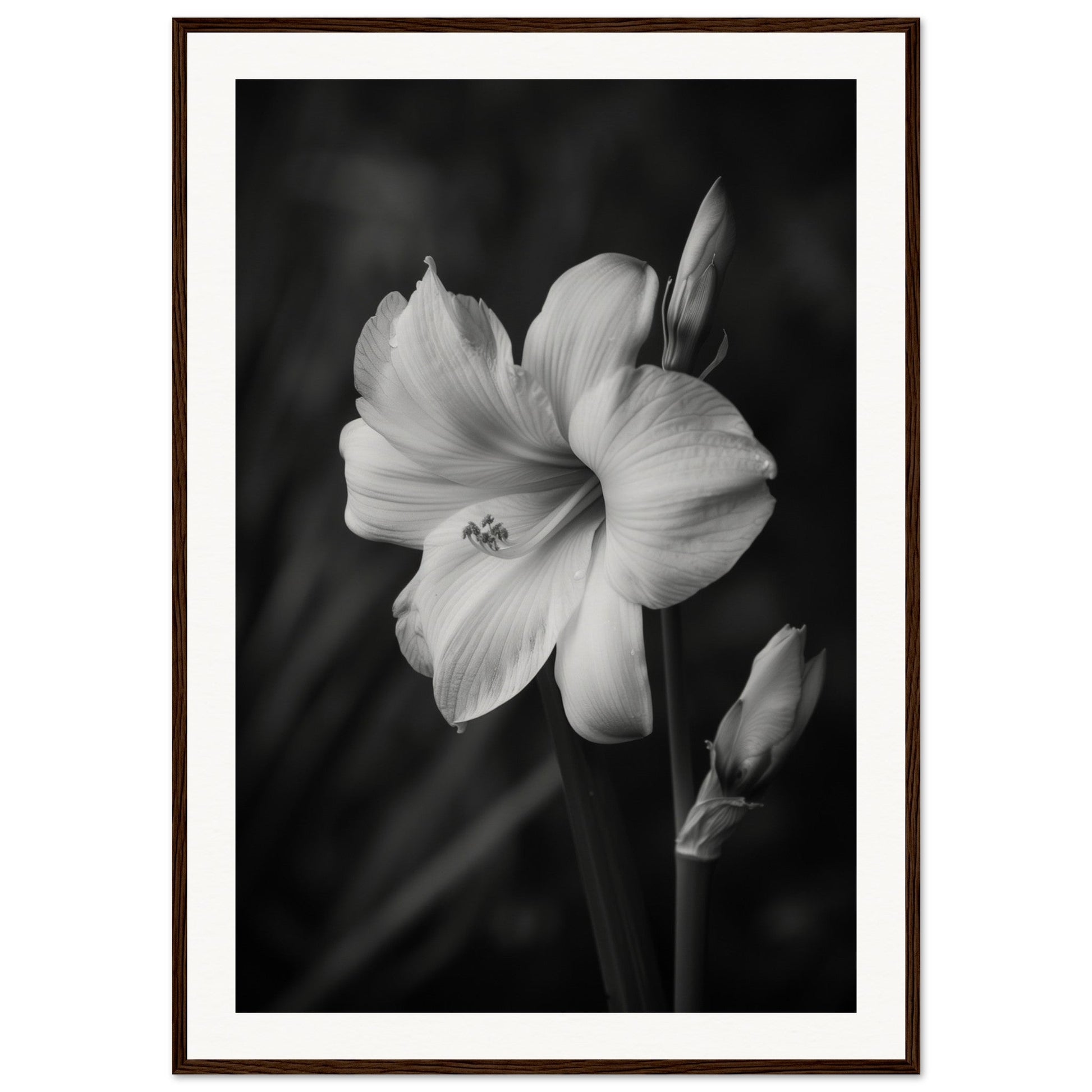 Affiche Fleur Noir et Blanc ( 70x100-cm-Bois-foncé)