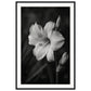 Affiche Fleur Noir et Blanc ( 60x90-cm-Bois-noir)