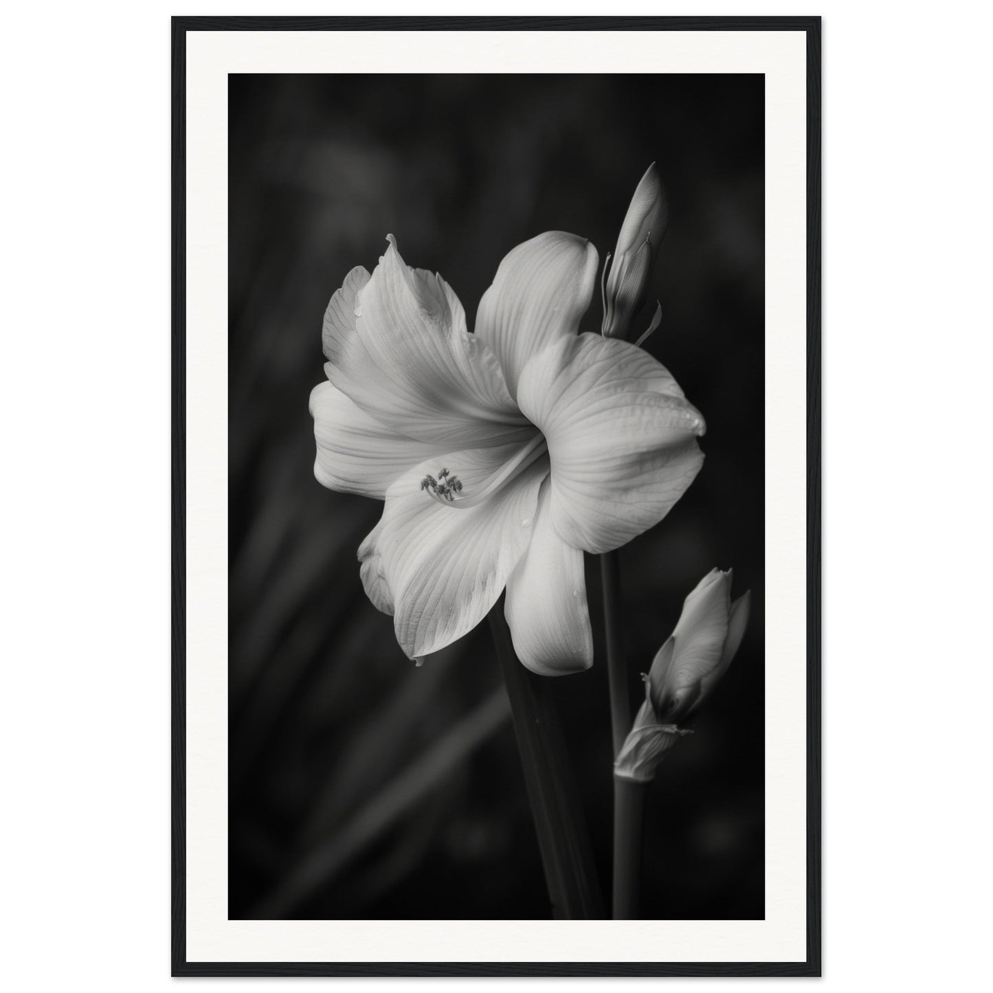 Affiche Fleur Noir et Blanc ( 60x90-cm-Bois-noir)