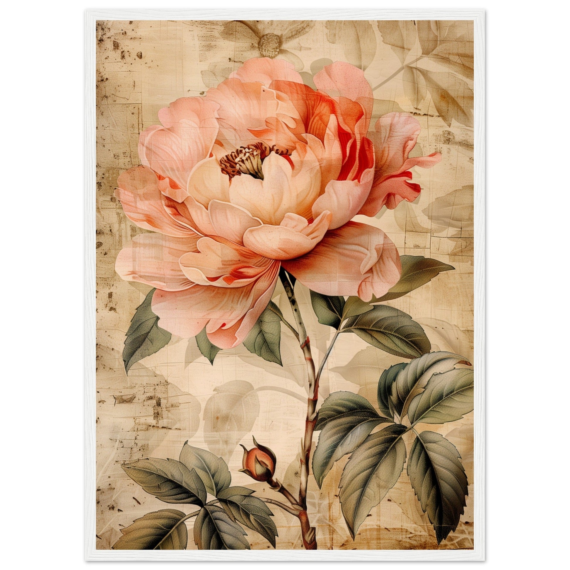 Affiche Fleur Vintage ( 50x70-cm-Bois-blanc)