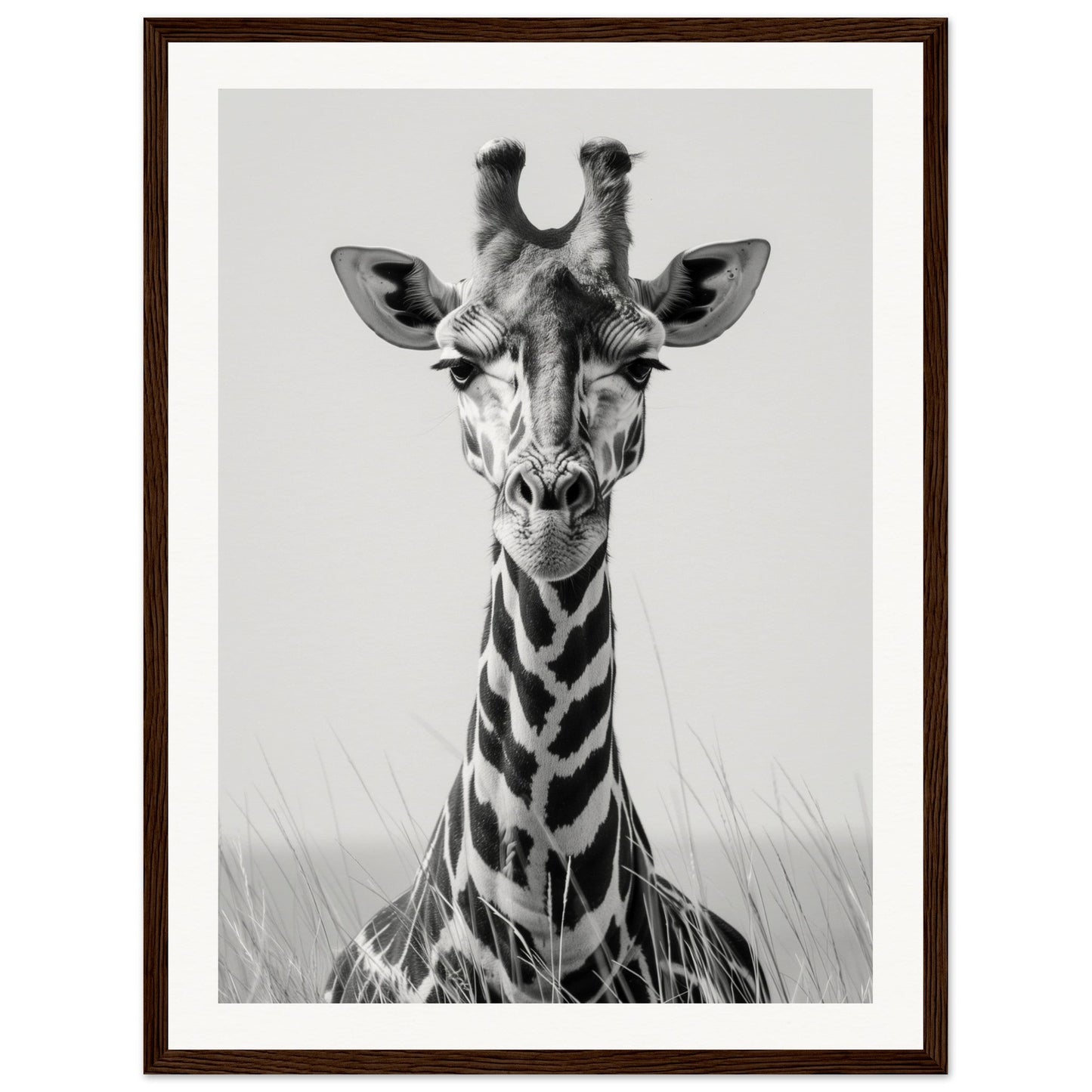 Affiche Girafe Noir et Blanc ( 45x60-cm-Bois-foncé)