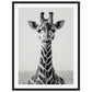 Affiche Girafe Noir et Blanc ( 45x60-cm-Bois-noir)