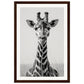 Affiche Girafe Noir et Blanc ( 30x45-cm-Bois-foncé)