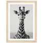 Affiche Girafe Noir et Blanc ( 21x29.7-cm-Bois-clair)