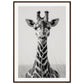 Affiche Girafe Noir et Blanc ( 70x100-cm-Bois-foncé)