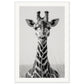 Affiche Girafe Noir et Blanc ( 60x90-cm-Bois-blanc)