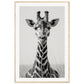 Affiche Girafe Noir et Blanc ( 60x90-cm-Bois-clair)