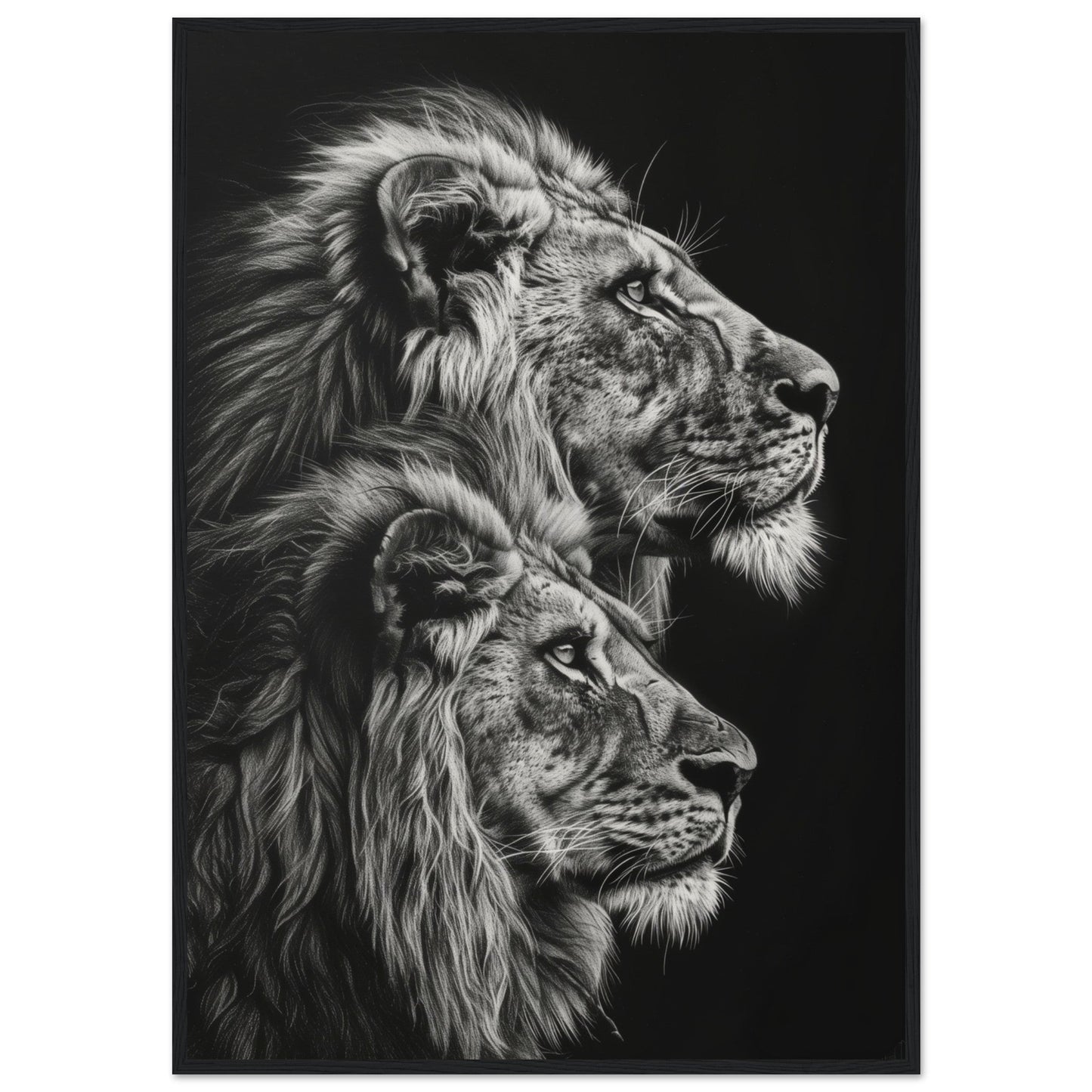 Affiche Lion Noir et Blanc ( 70x100-cm-Bois-noir)