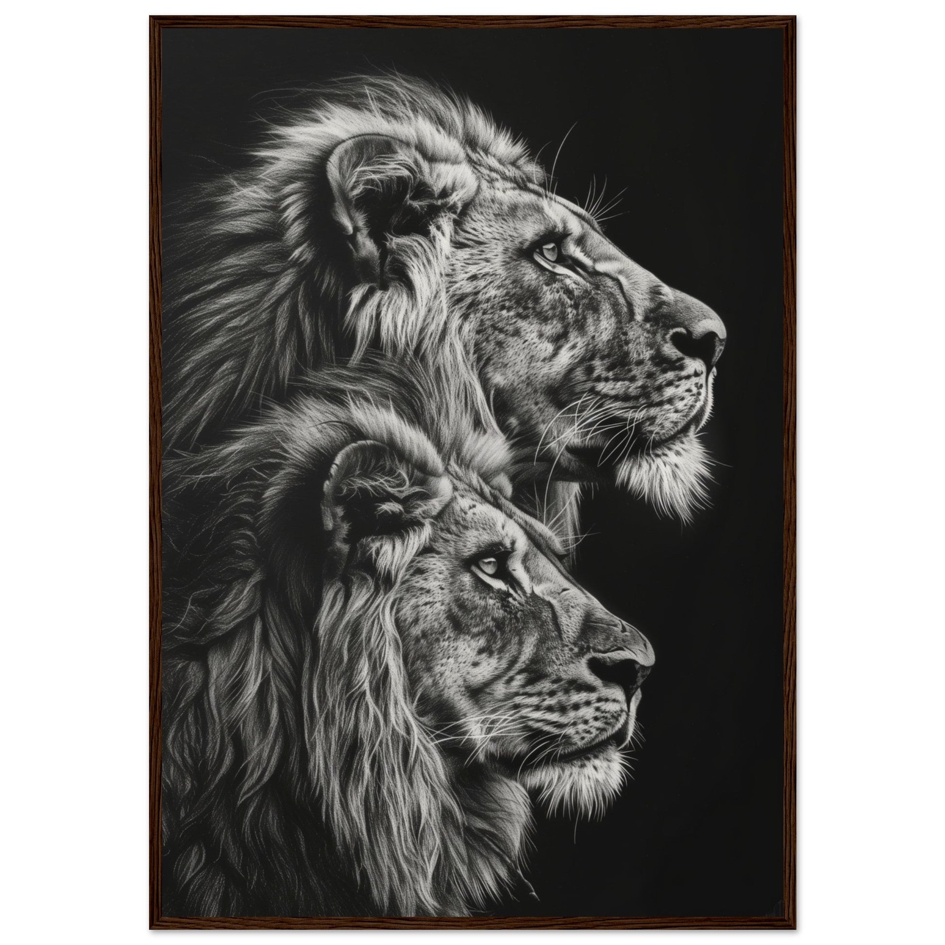 Affiche Lion Noir et Blanc ( 70x100-cm-Bois-foncé)