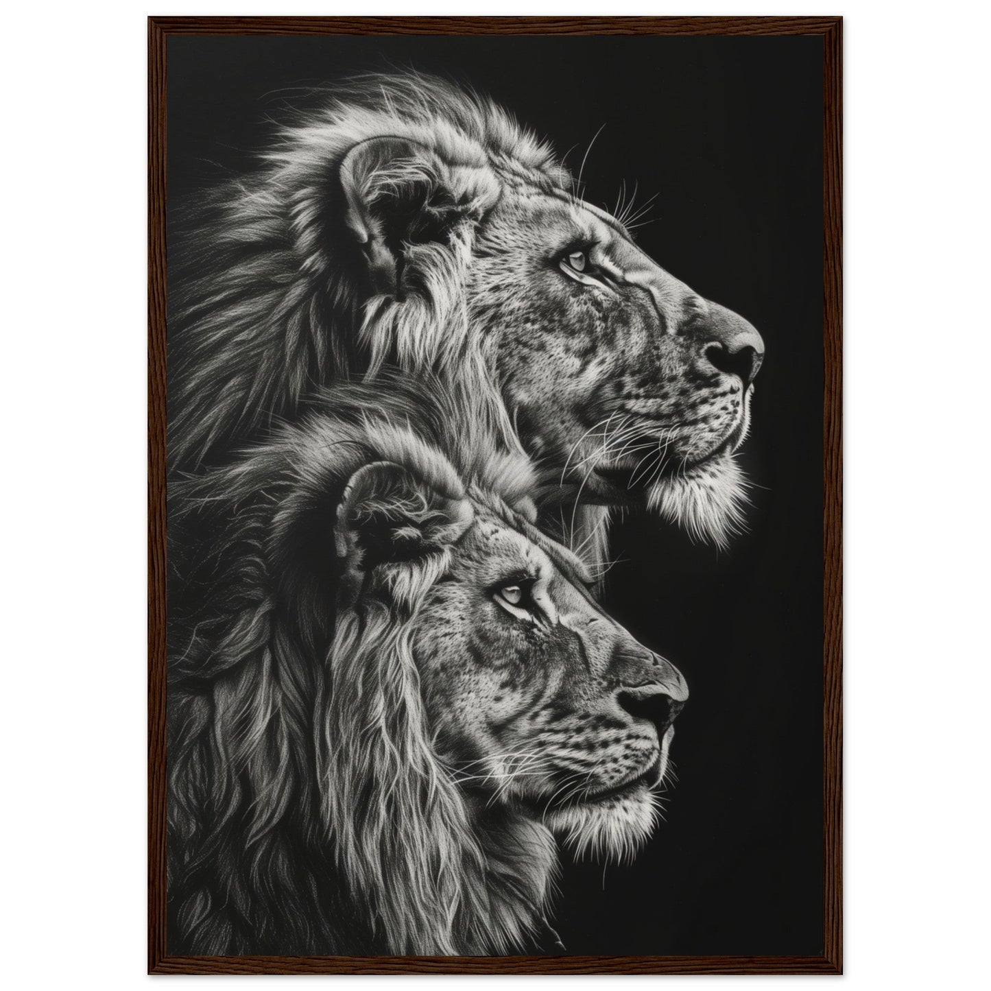 Affiche Lion Noir et Blanc ( 50x70-cm-Bois-foncé)