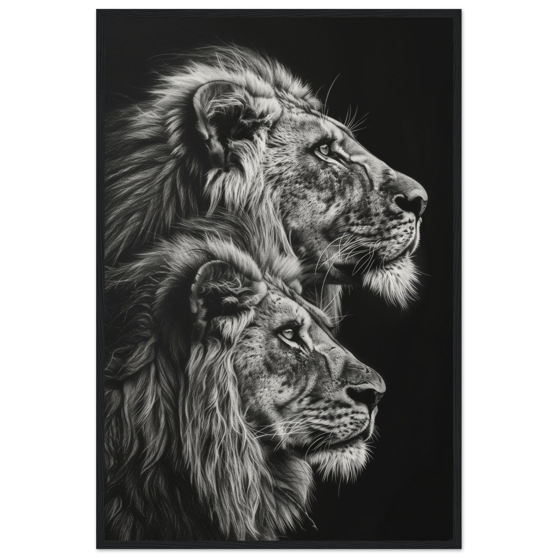 Affiche Lion Noir et Blanc ( 60x90-cm-Bois-noir)