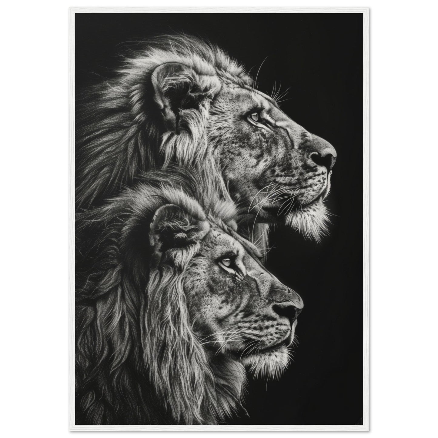 Affiche Lion Noir et Blanc ( 70x100-cm-Bois-blanc)