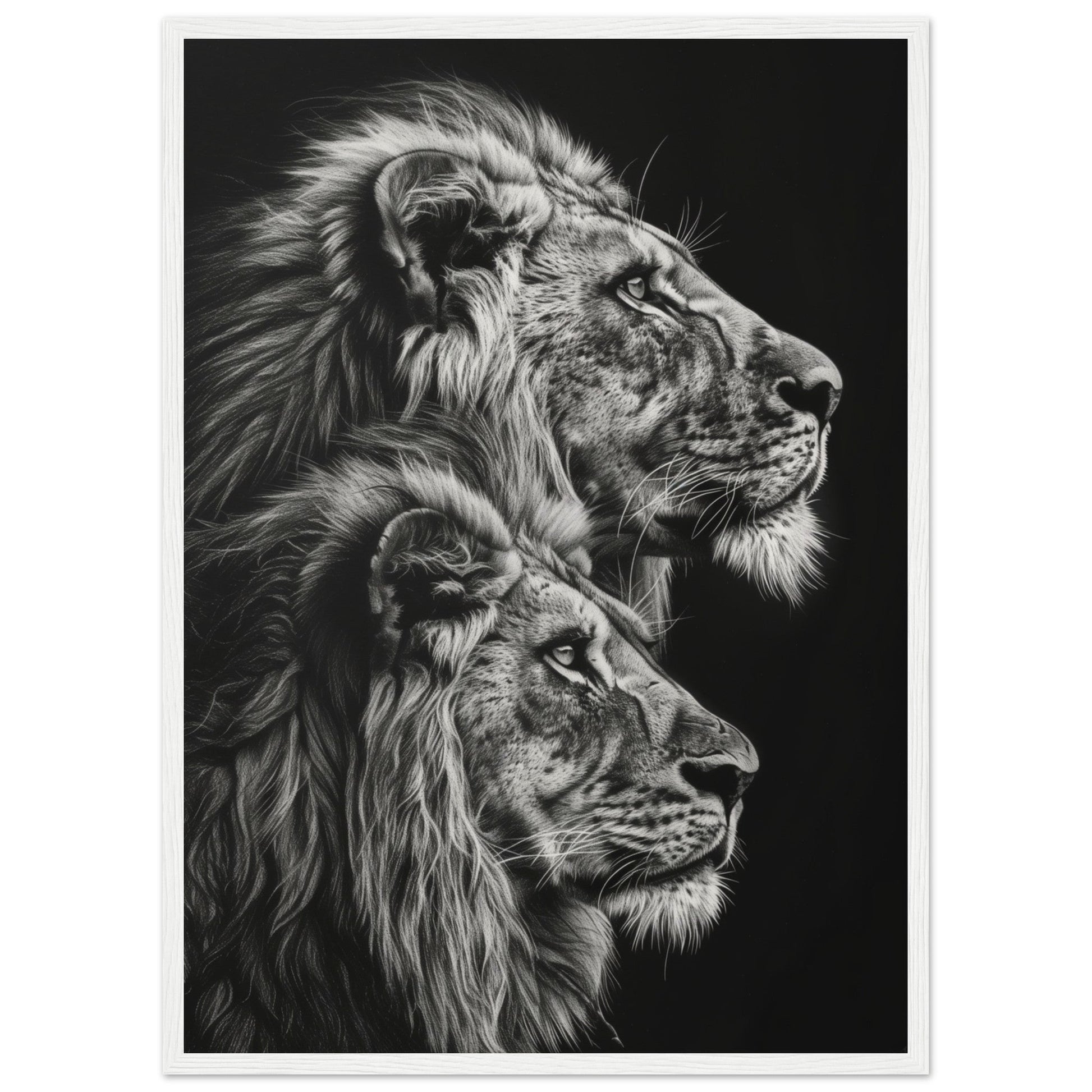 Affiche Lion Noir et Blanc ( 50x70-cm-Bois-blanc)