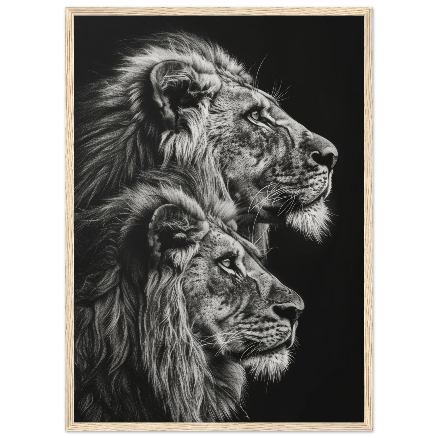 Affiche Lion Noir et Blanc ( 50x70-cm-Bois-clair)