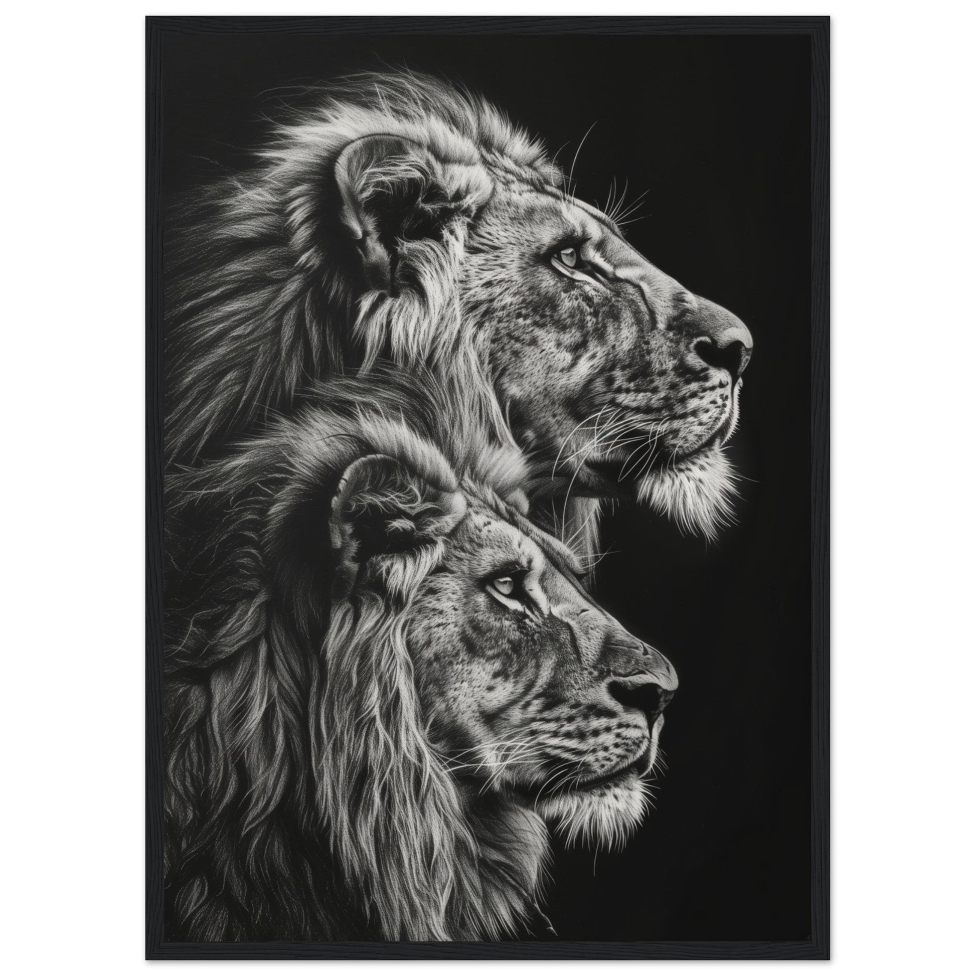 Affiche Lion Noir et Blanc ( 50x70-cm-Bois-noir)