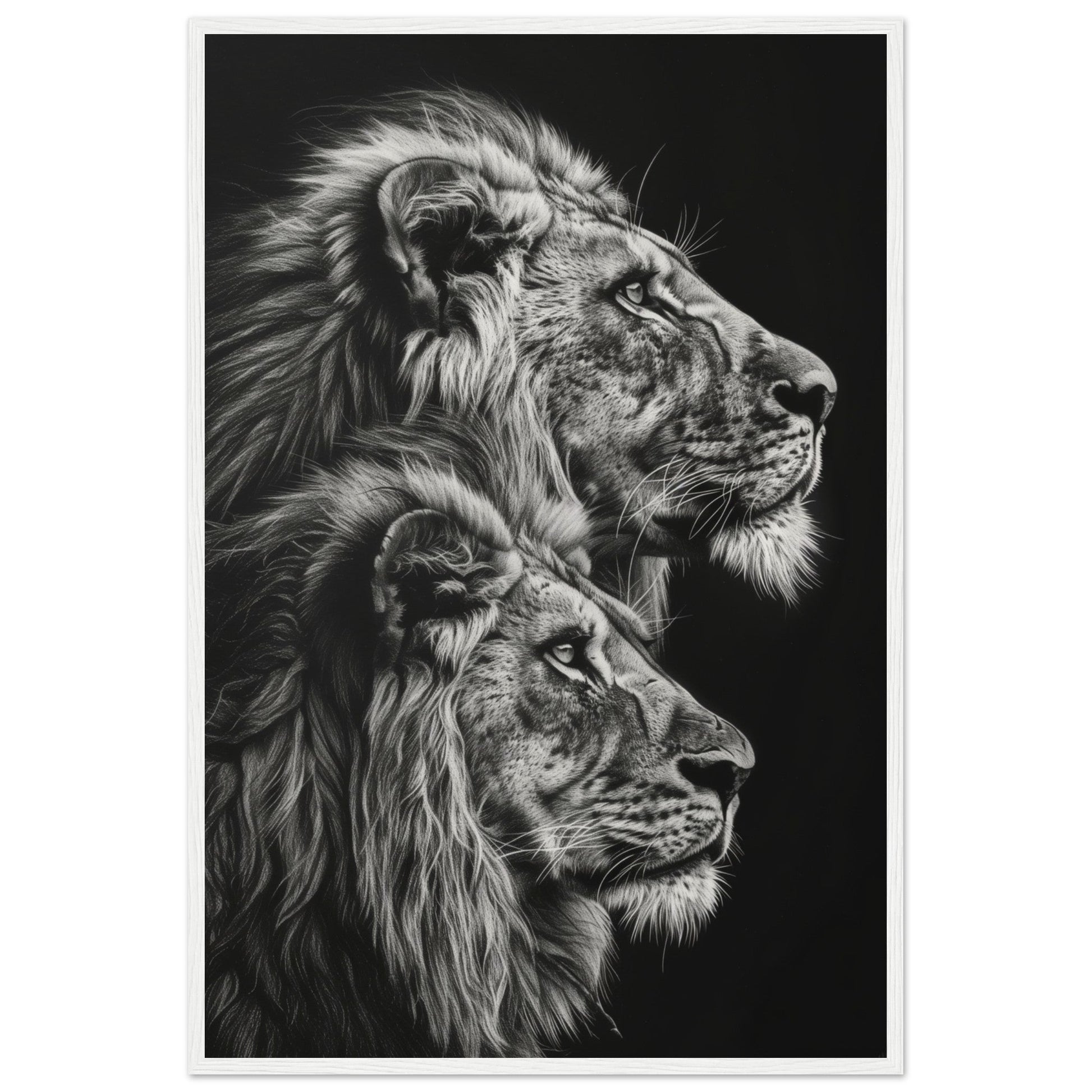 Affiche Lion Noir et Blanc ( 60x90-cm-Bois-blanc)