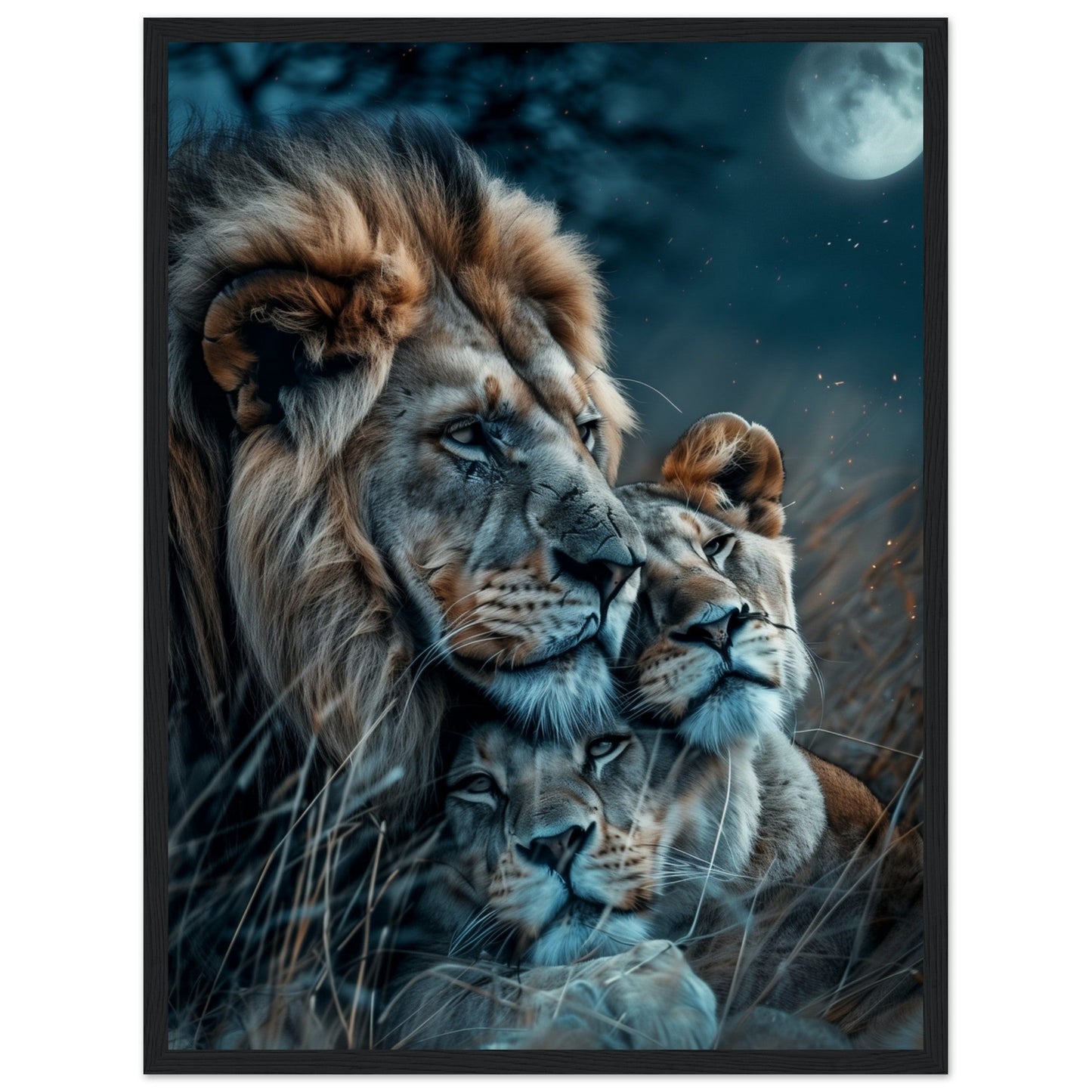 Affiche Lion et Lionne ( 45x60-cm-Bois-noir)