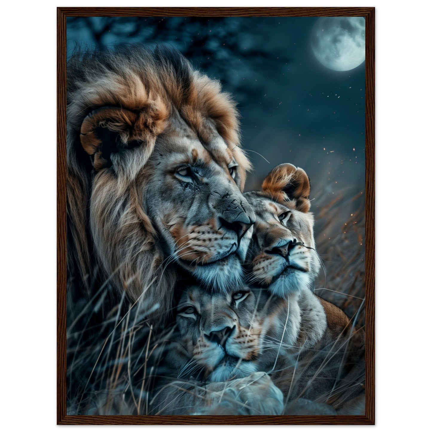 Affiche Lion et Lionne ( 45x60-cm-Bois-foncé)