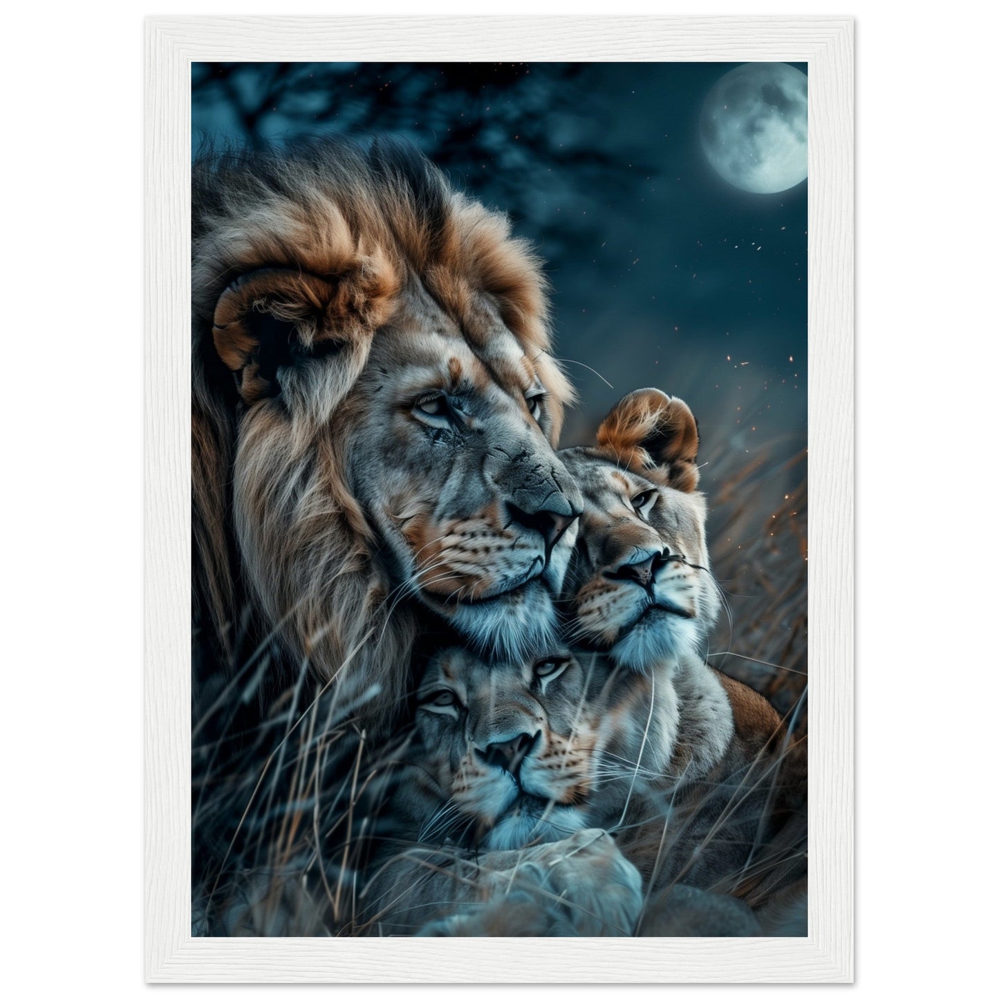 Affiche Lion et Lionne ( 21x29.7-cm-Bois-blanc)