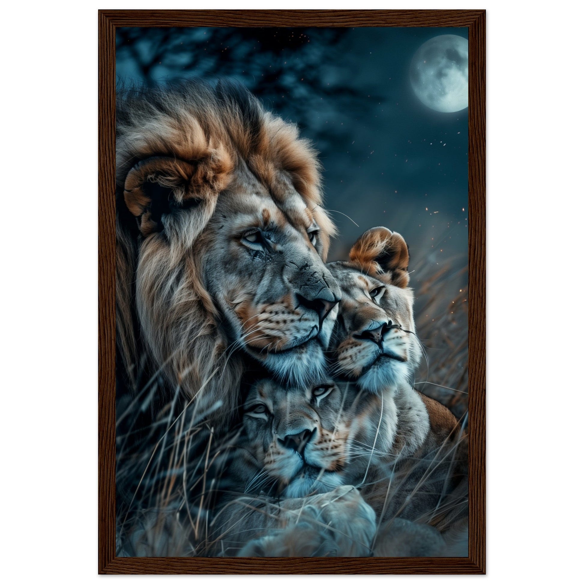 Affiche Lion et Lionne ( 30x45-cm-Bois-foncé)