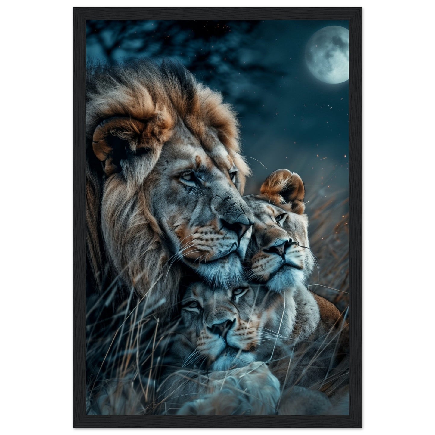 Affiche Lion et Lionne ( 30x45-cm-Bois-noir)