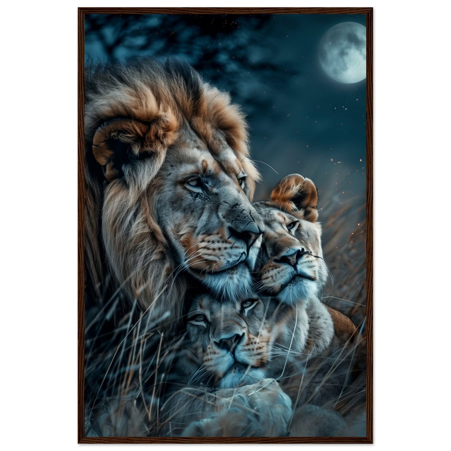 Affiche Lion et Lionne ( 60x90-cm-Bois-foncé)