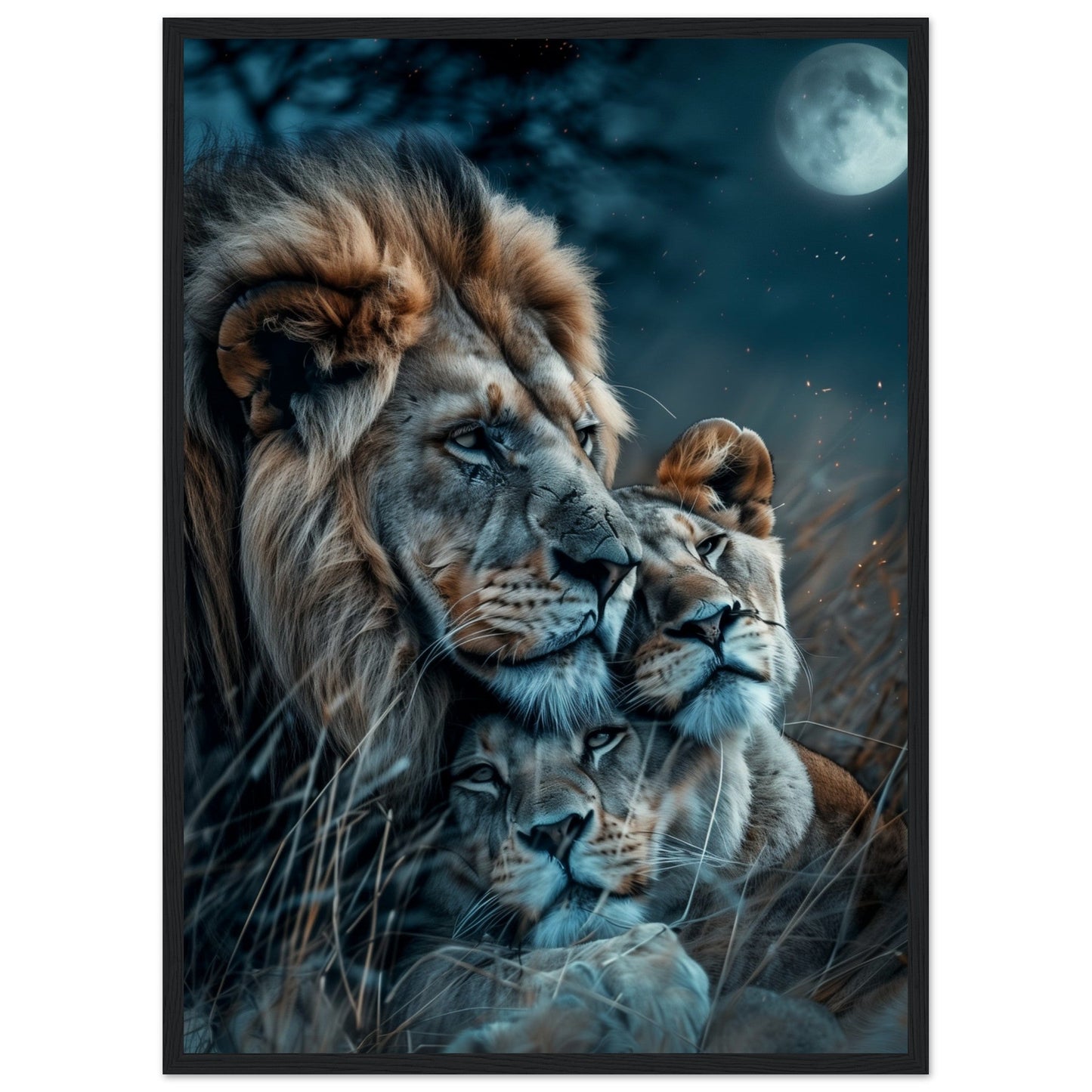 Affiche Lion et Lionne ( 50x70-cm-Bois-noir)