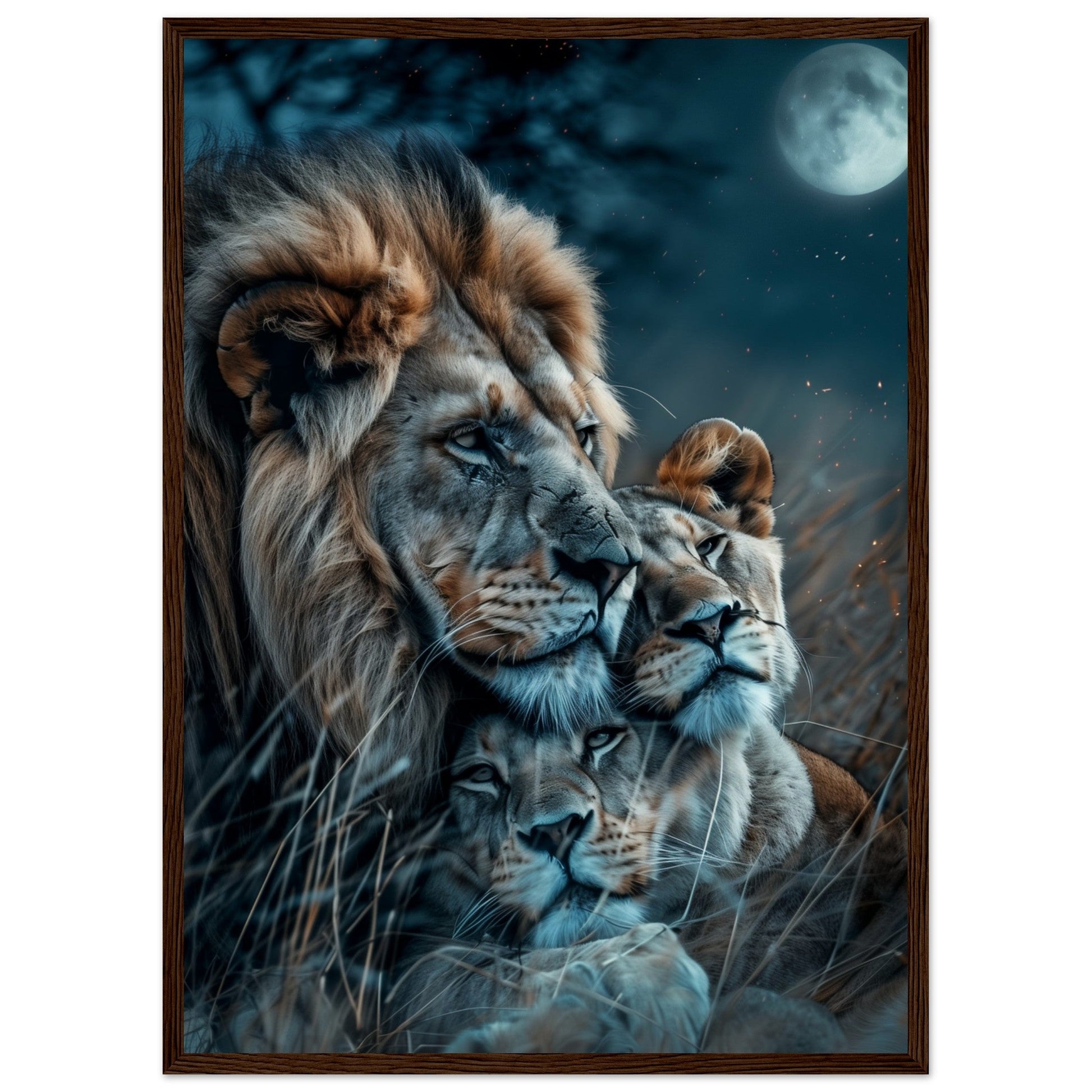 Affiche Lion et Lionne ( 50x70-cm-Bois-foncé)