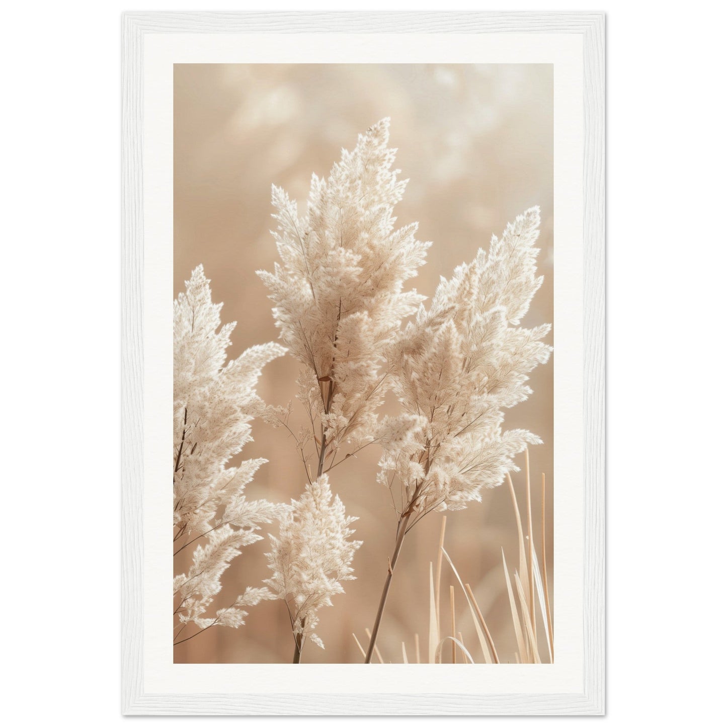 Affiche Nature Beige ( 30x45-cm-Bois-blanc)