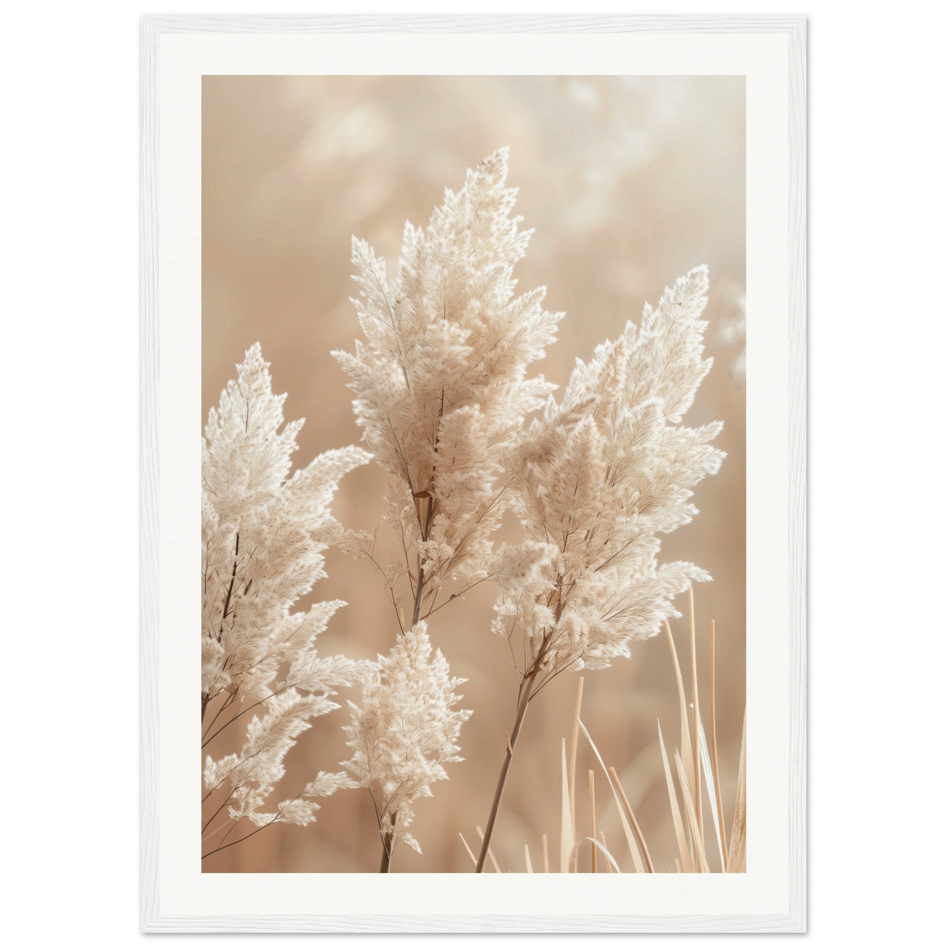 Affiche Nature Beige ( 50x70-cm-Bois-blanc)