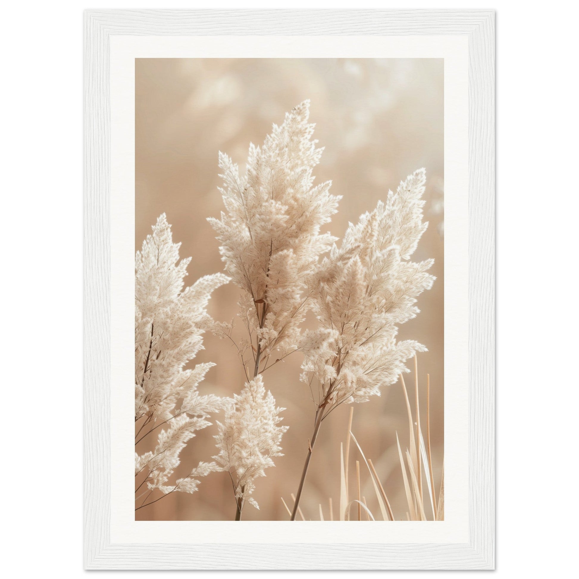 Affiche Nature Beige ( 21x29.7-cm-Bois-blanc)