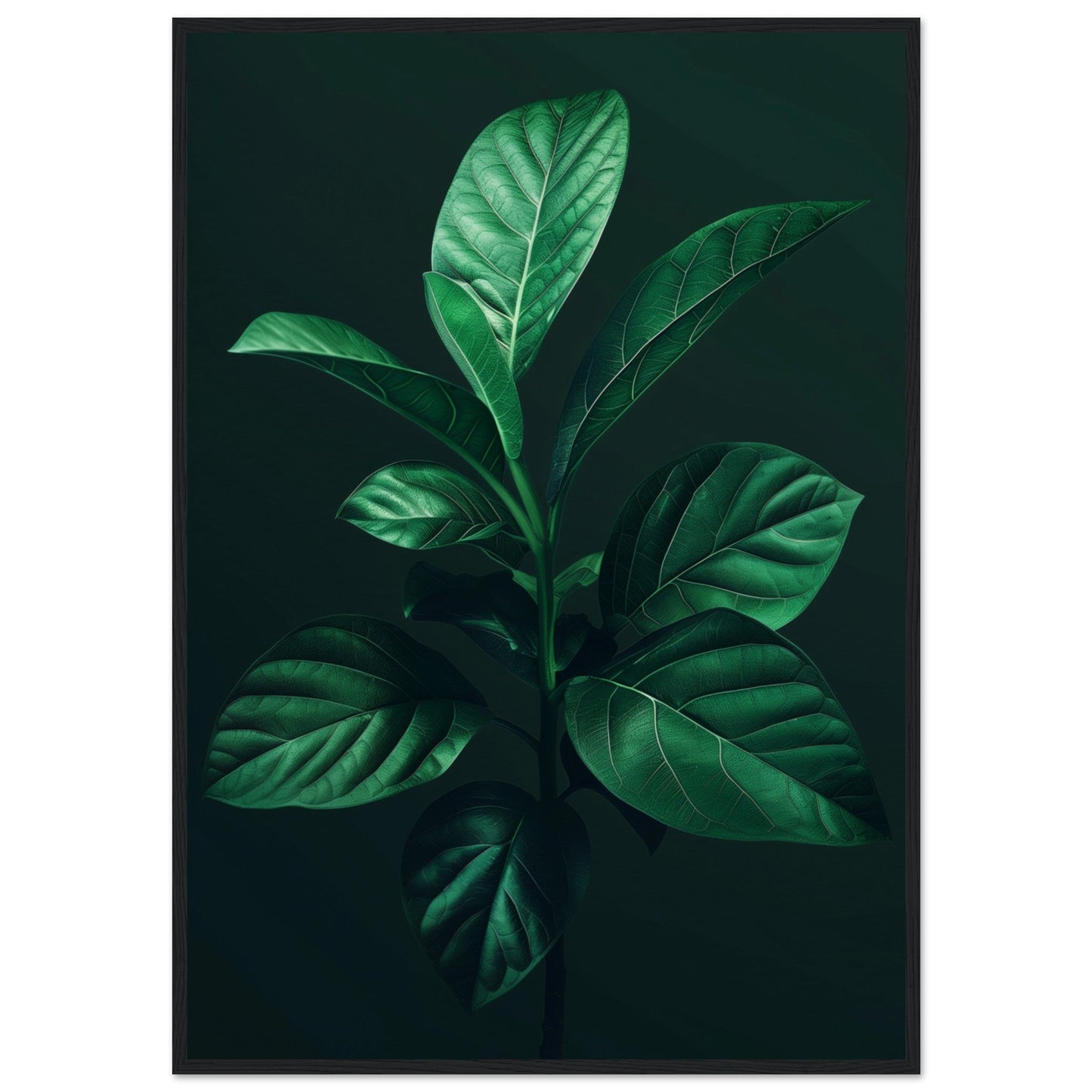 Affiche Plante Verte ( 70x100-cm-Bois-noir)