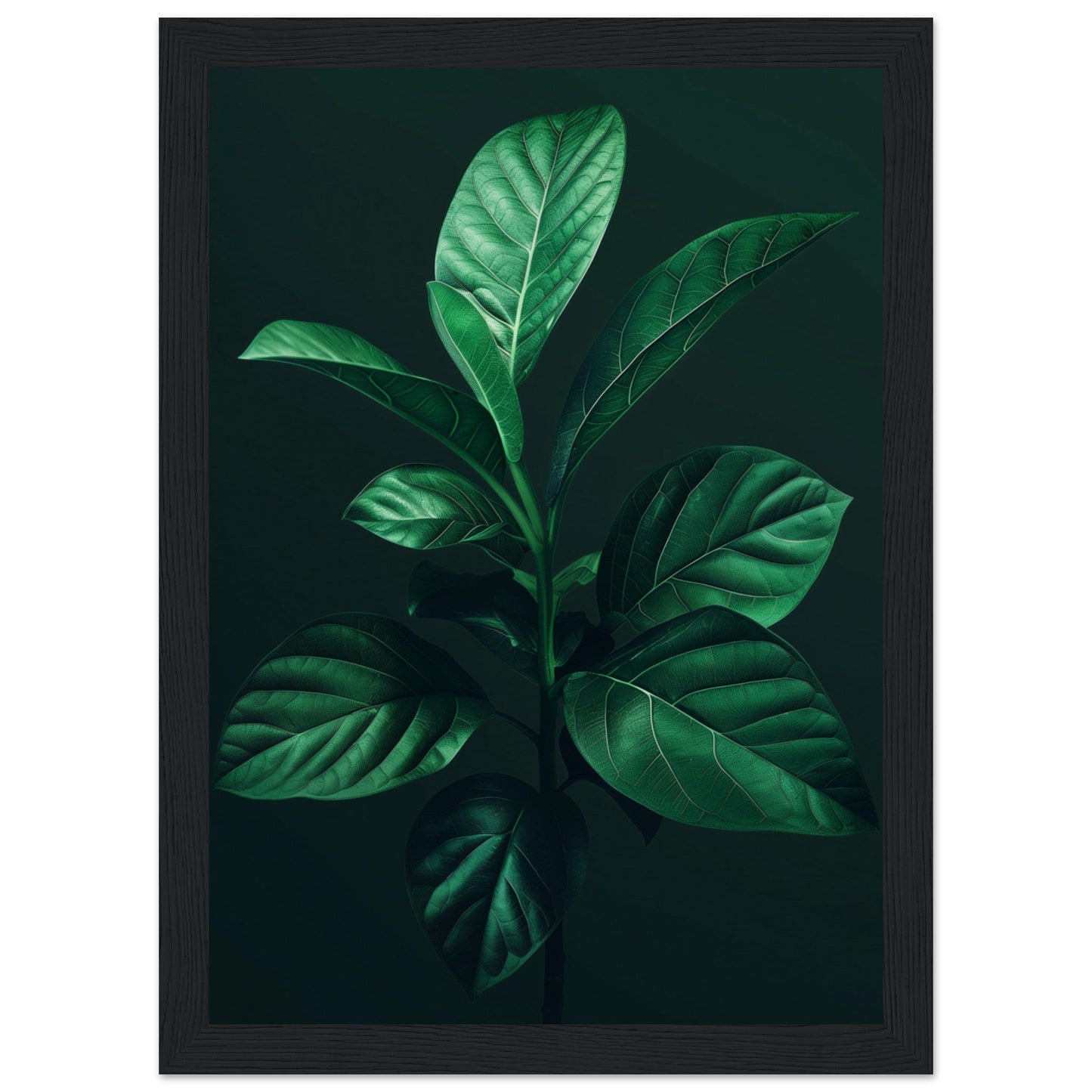 Affiche Plante Verte ( 21x29.7-cm-Bois-noir)