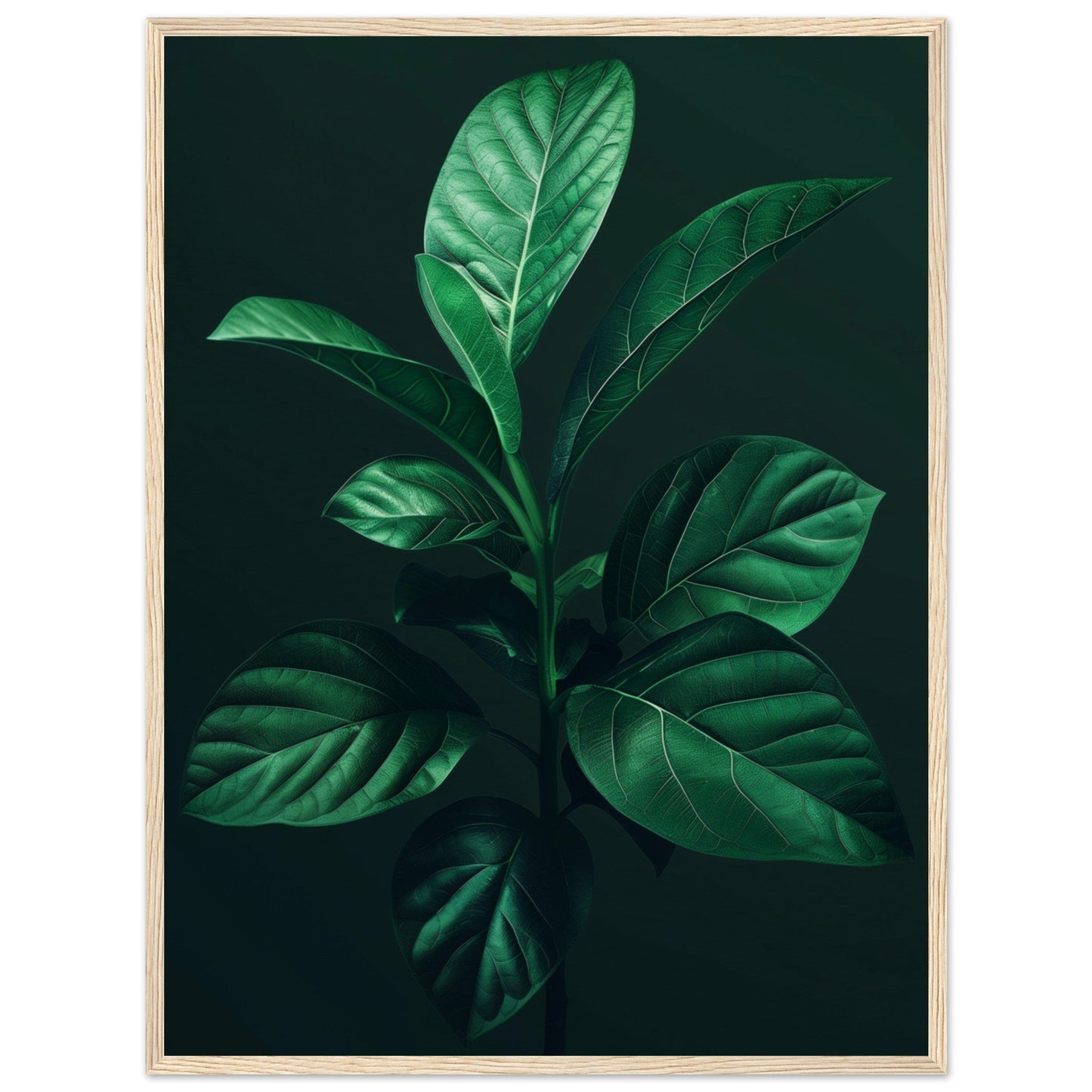 Affiche Plante Verte ( 60x80-cm-Bois-clair)