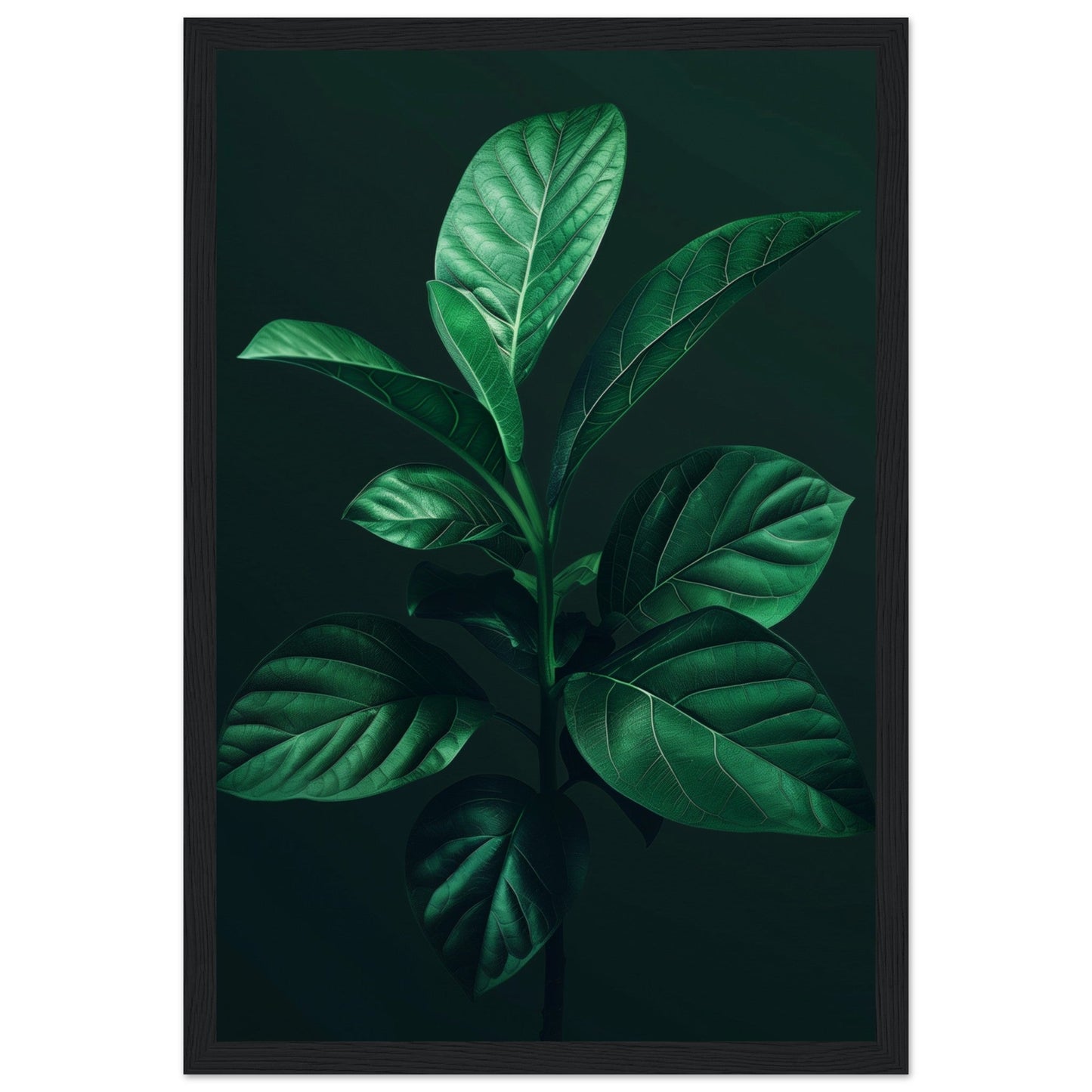 Affiche Plante Verte ( 30x45-cm-Bois-noir)