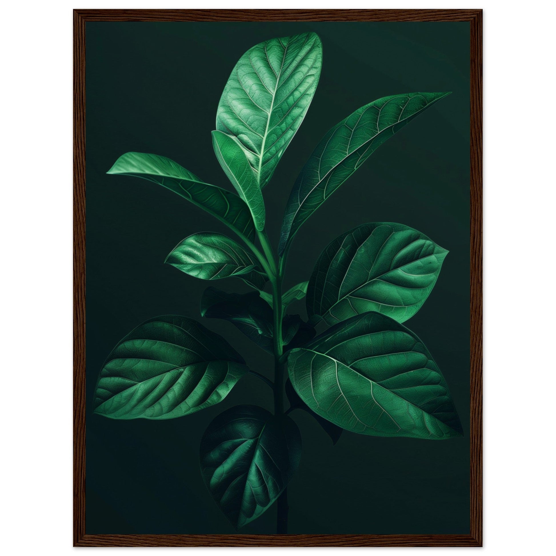 Affiche Plante Verte ( 45x60-cm-Bois-foncé)