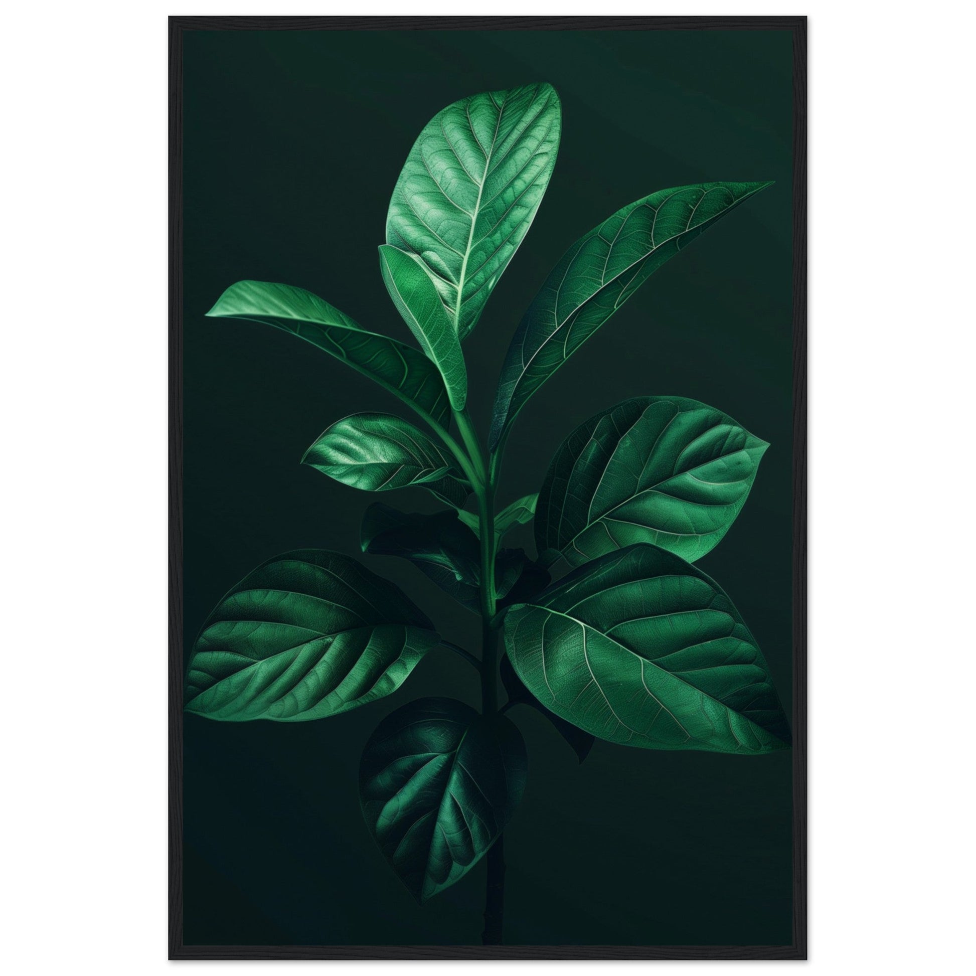 Affiche Plante Verte ( 60x90-cm-Bois-noir)