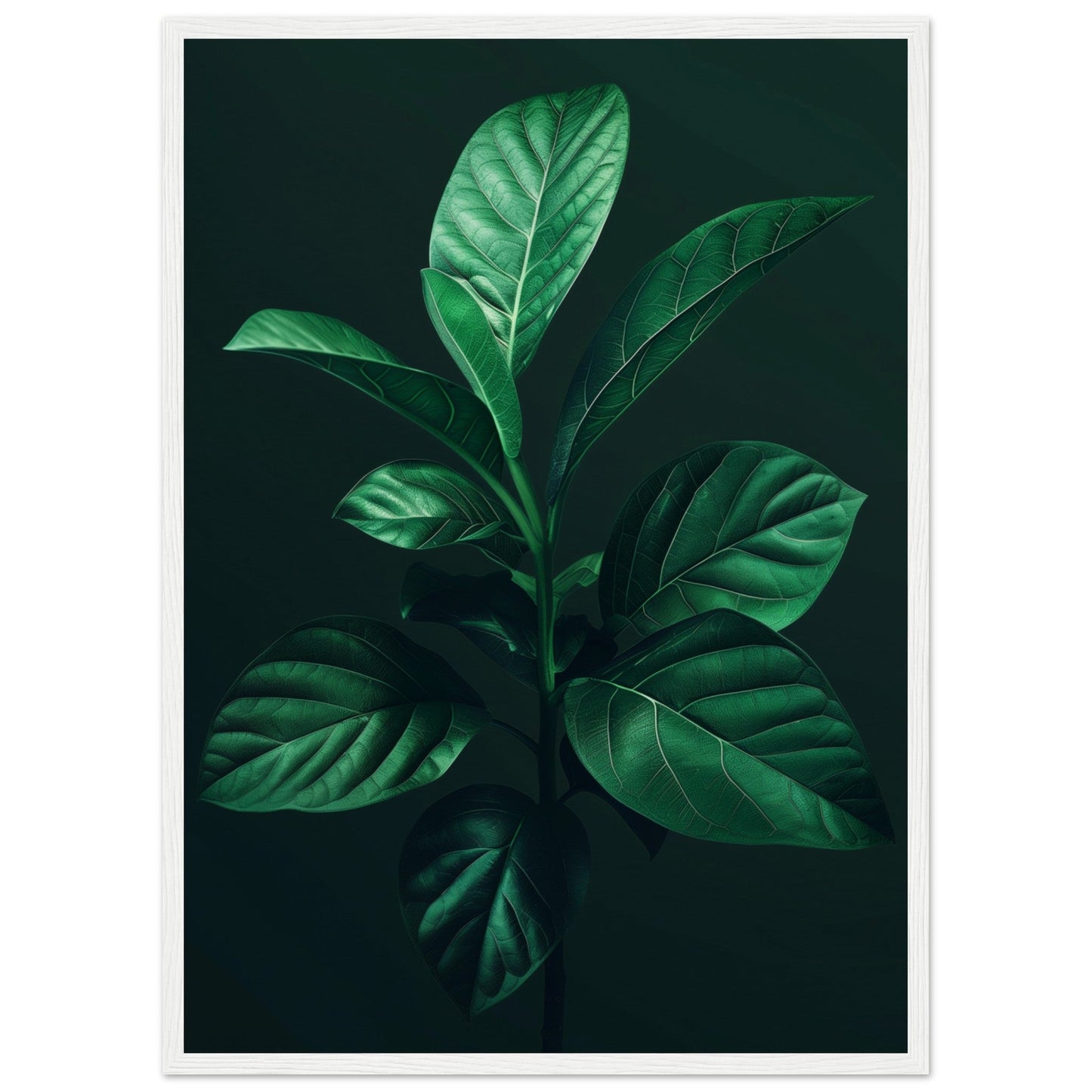 Affiche Plante Verte ( 50x70-cm-Bois-blanc)