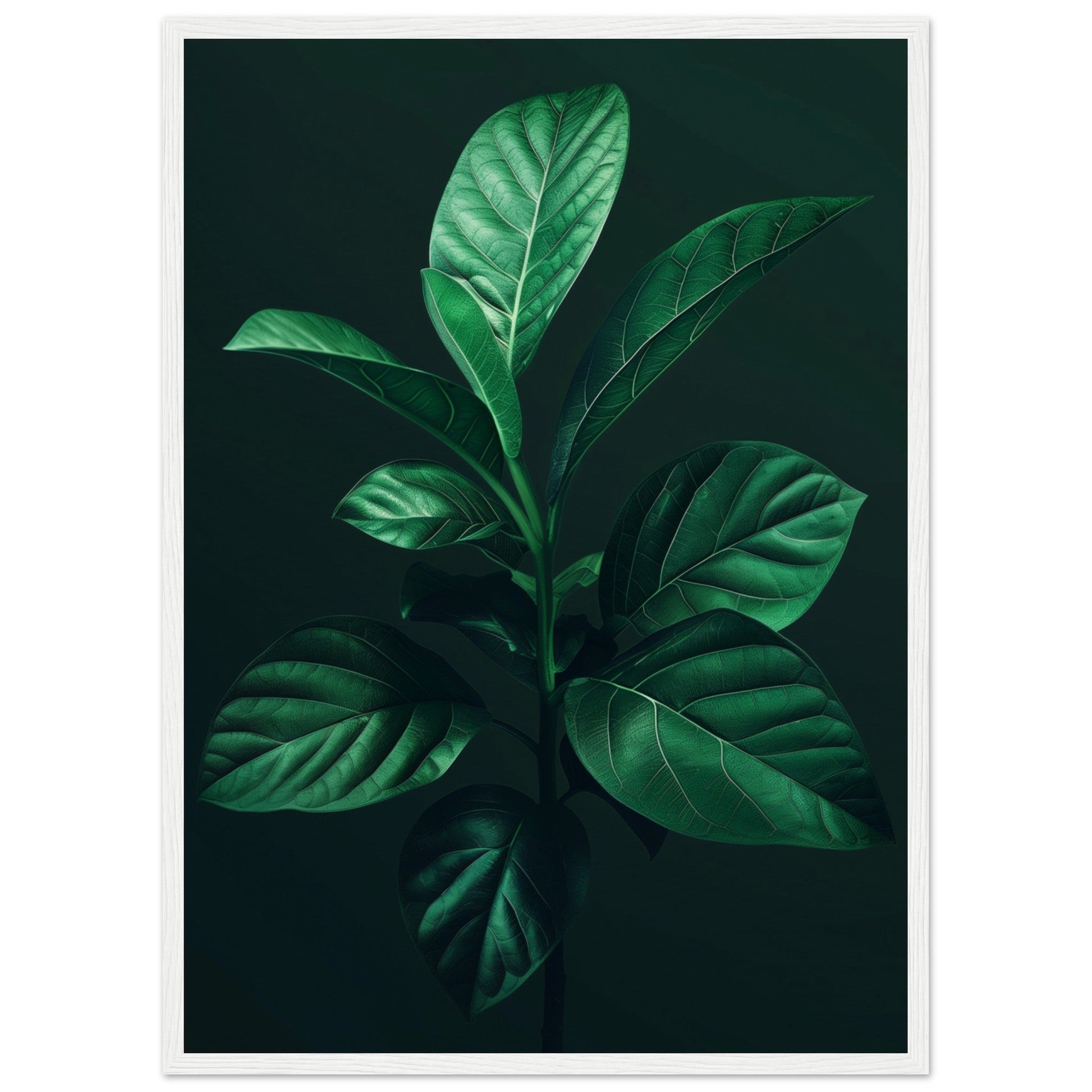 Affiche Plante Verte ( 50x70-cm-Bois-blanc)