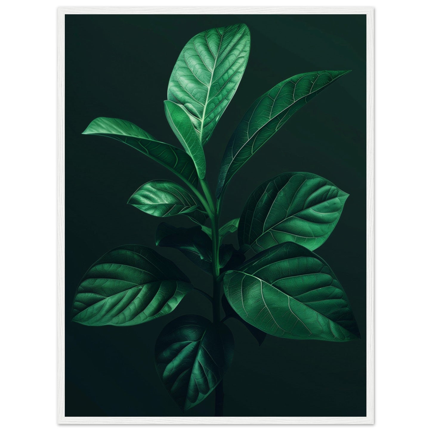 Affiche Plante Verte ( 60x80-cm-Bois-blanc)