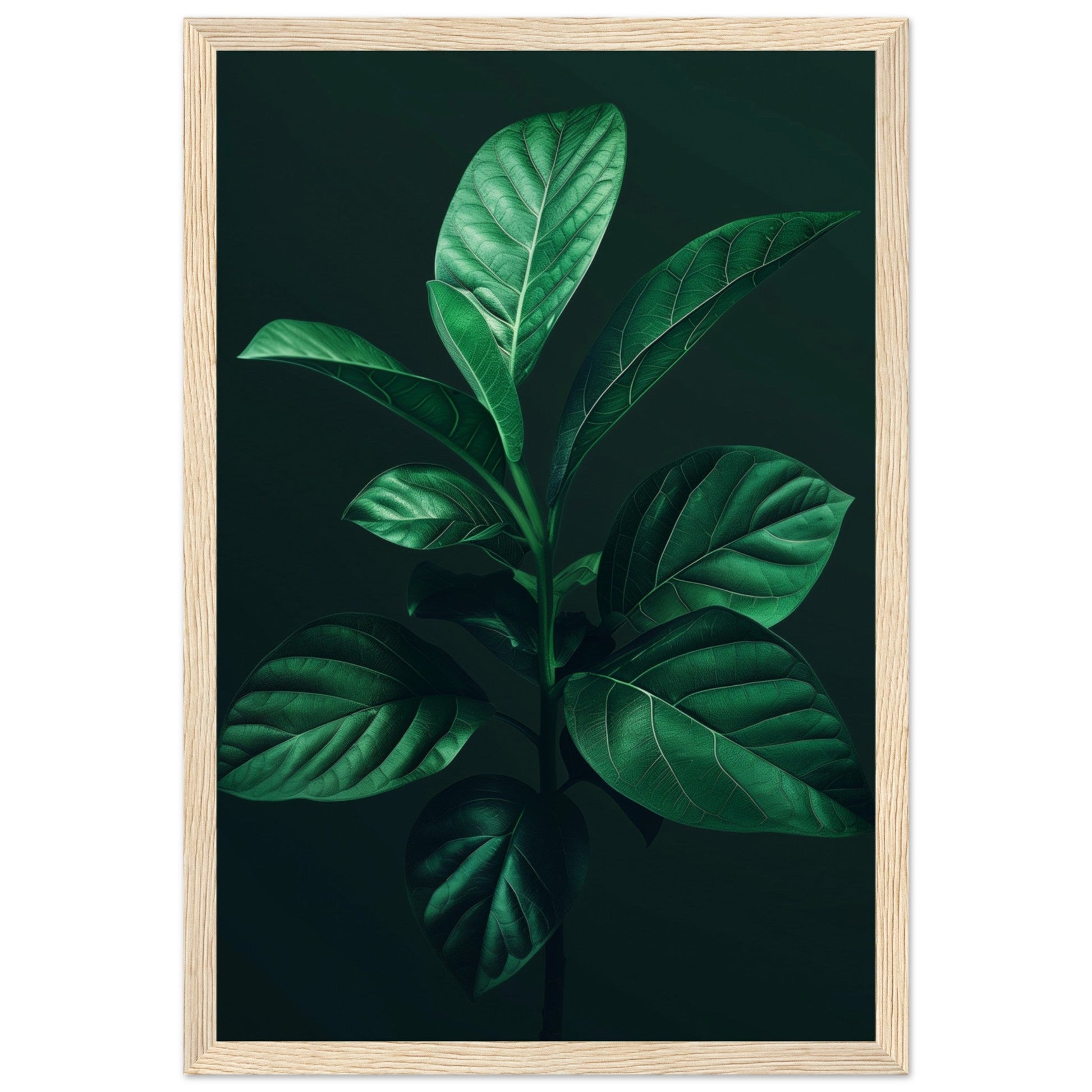 Affiche Plante Verte ( 30x45-cm-Bois-clair)