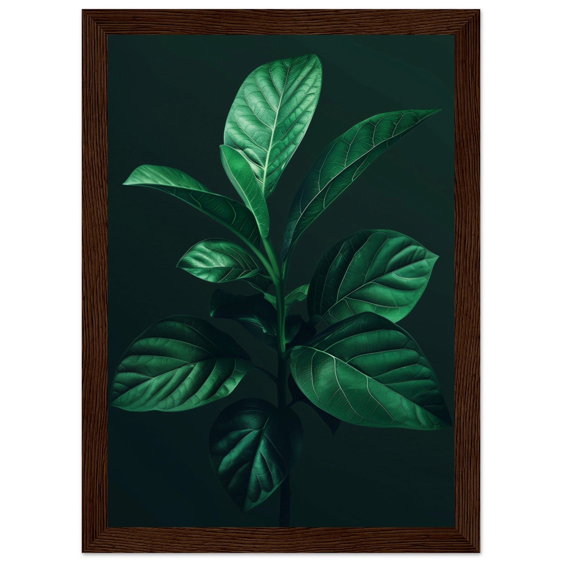 Affiche Plante Verte ( 21x29.7-cm-Bois-foncé)