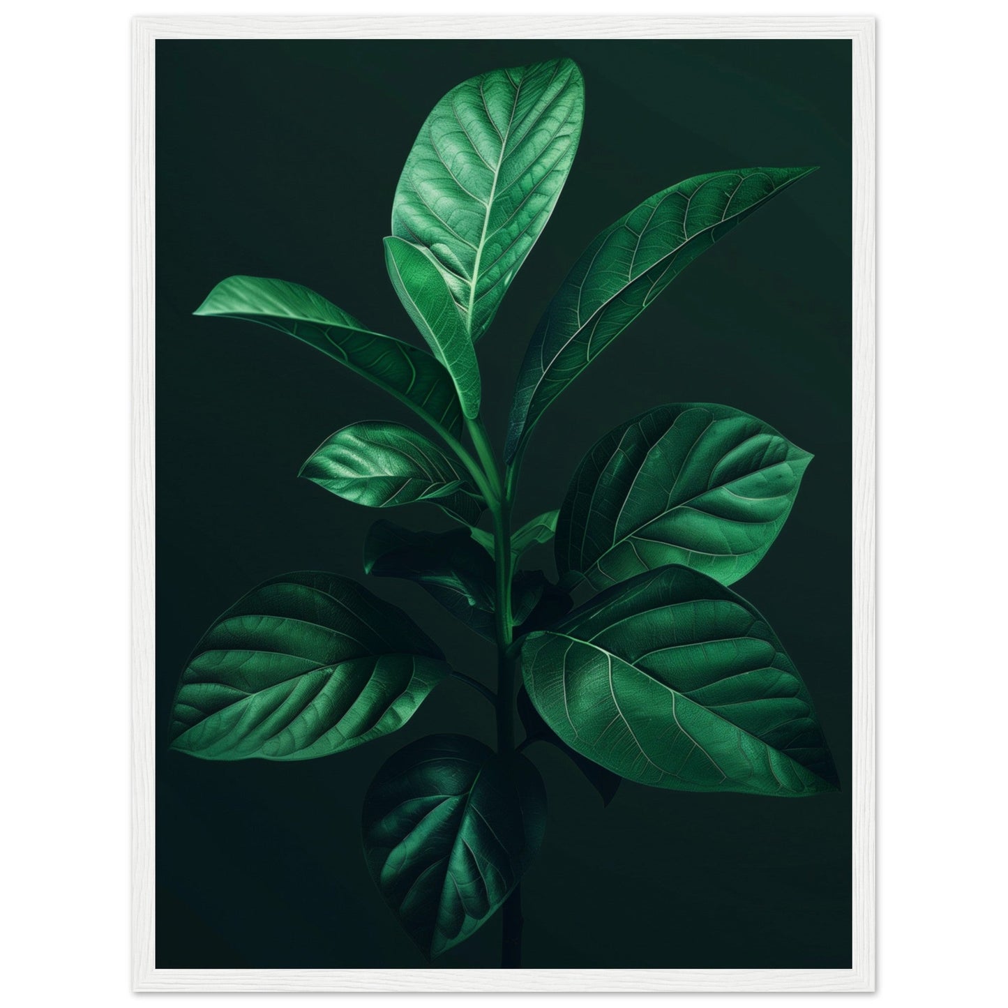 Affiche Plante Verte ( 45x60-cm-Bois-blanc)