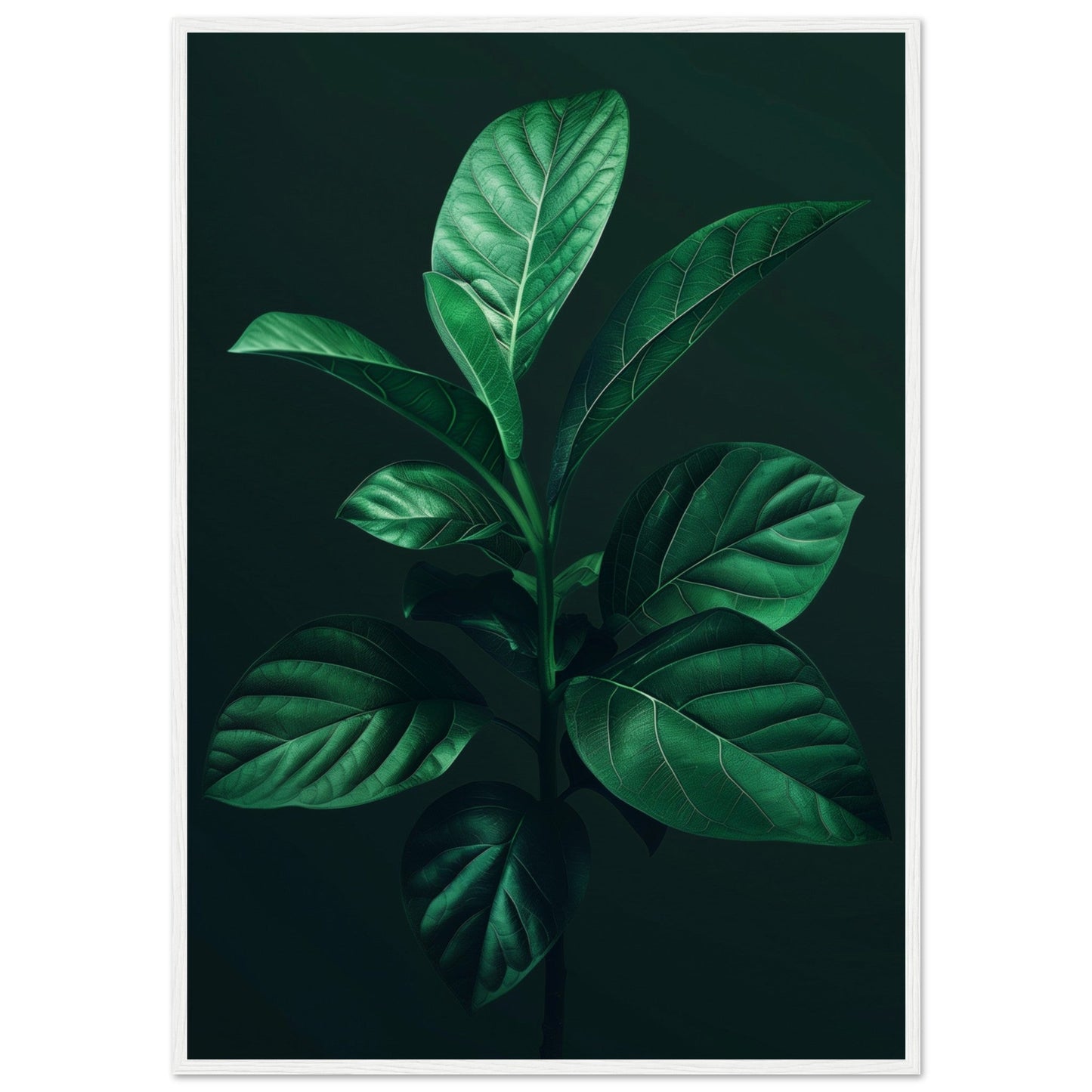 Affiche Plante Verte ( 70x100-cm-Bois-blanc)