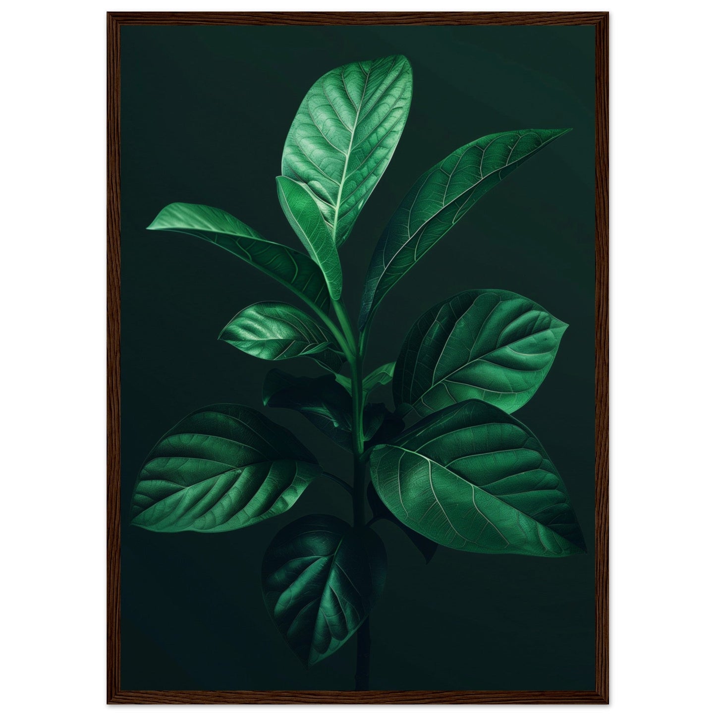 Affiche Plante Verte ( 50x70-cm-Bois-foncé)