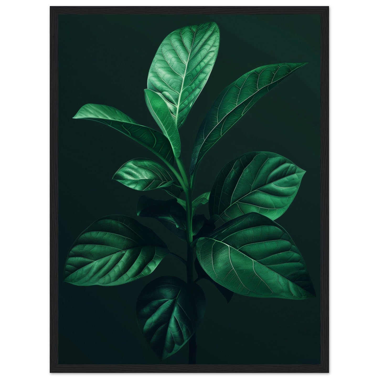 Affiche Plante Verte ( 45x60-cm-Bois-noir)