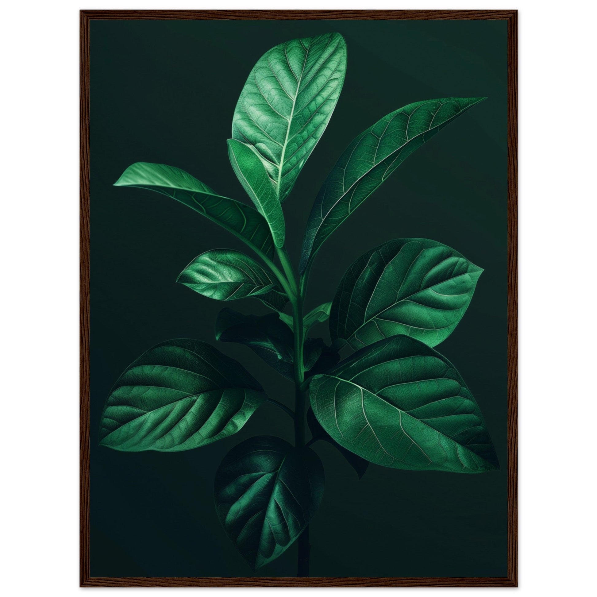 Affiche Plante Verte ( 60x80-cm-Bois-foncé)