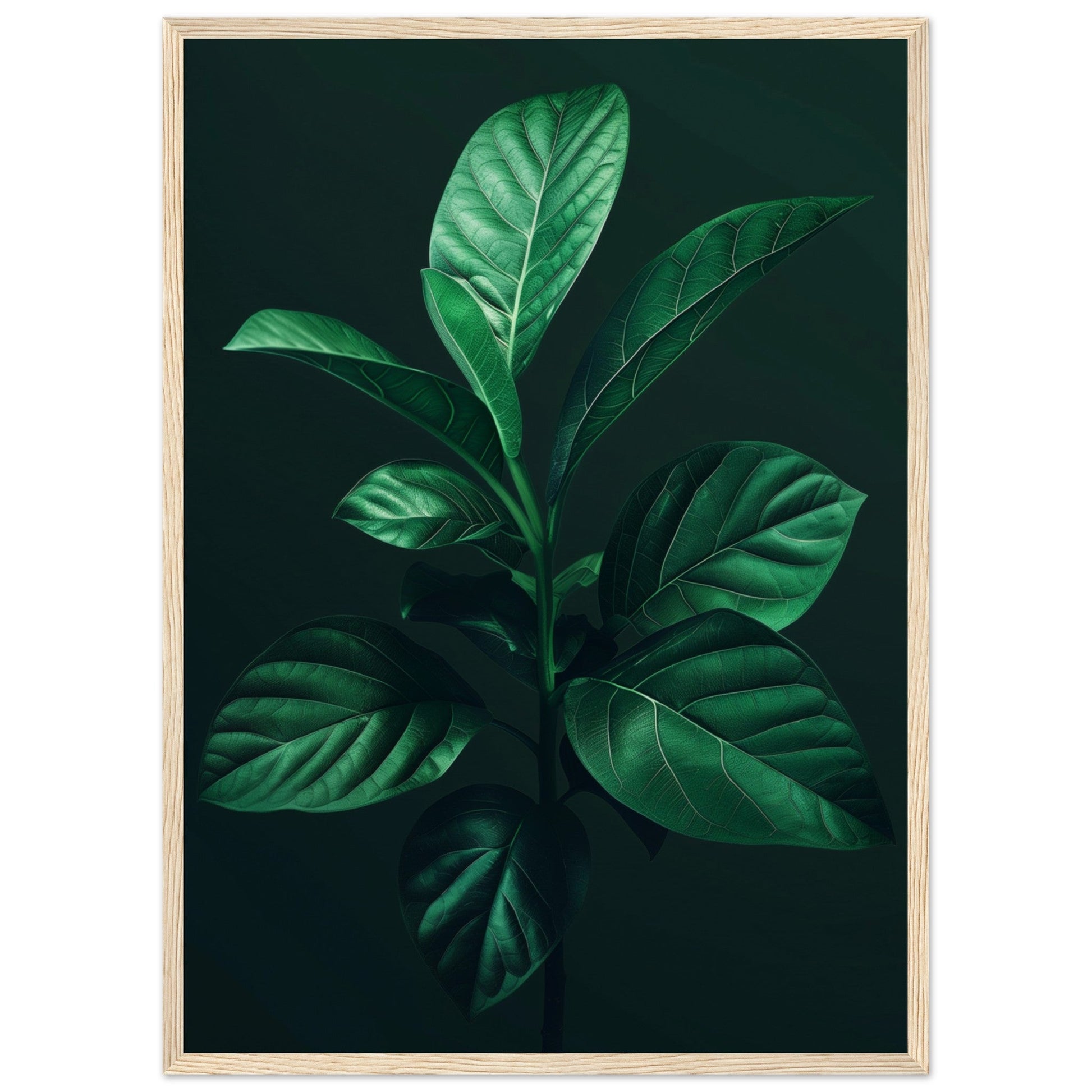 Affiche Plante Verte ( 50x70-cm-Bois-clair)