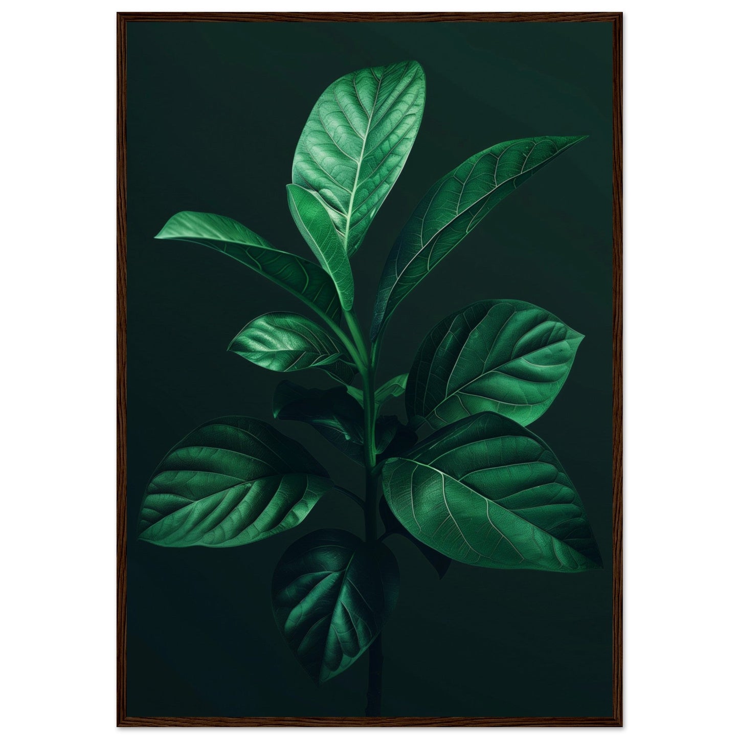 Affiche Plante Verte ( 70x100-cm-Bois-foncé)